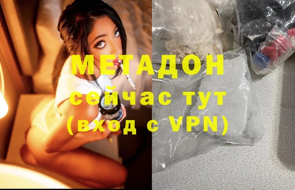 трава Аркадак