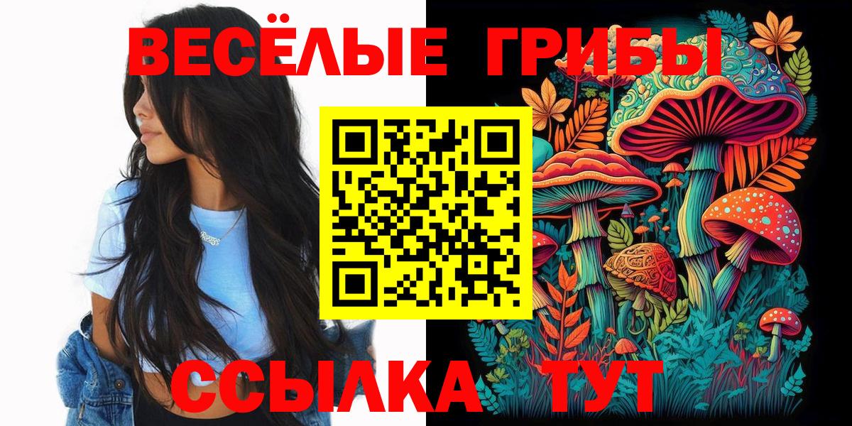 Галлюциногенные грибы Psilocybine cubensis Волхов