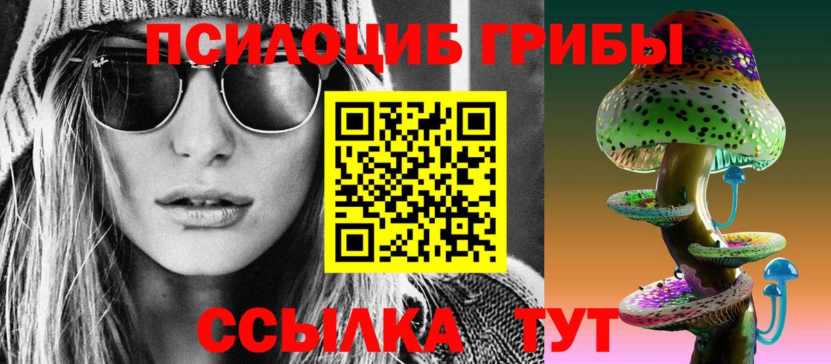 даркнет сайт  Вход с VPN  Галлюциногенные грибы Psilocybine cubensis  Волхов  Псилоцибиновые грибы Psilocybine cubensis 