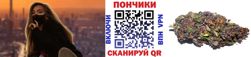 цены   Волхов  Каннабис сатива 